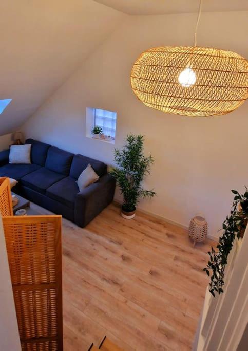 Appartement Charmant Et Spacieux โอแซร์ ภายนอก รูปภาพ
